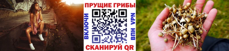 Галлюциногенные грибы MAGIC MUSHROOMS  Елабуга 